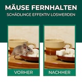 thumbnail of Mäuse-Abwehr-Spray: 2L + 500ml