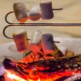 thumbnail of Petromax Lagerfeuer-Spieß ls1 (Gabel gerade) 2 Stück