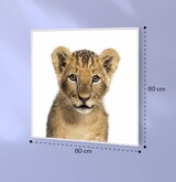 thumbnail of Wonderwall Air Art Smart Infrarotheizung Löwe 60x60cm 350W Mehrfarbig