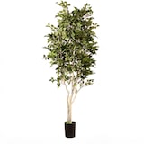 thumbnail of Planta artificial ignífuga Abedul blanco 210cm | Naturing Monde -Para interior - Tronco natural