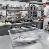 thumbnail of Bandeja para Descongelar Alimentos com Grelha (6,5 L) - Isento de BPA. Buffet, restaurantes, cozinhas...