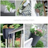 thumbnail of Prosperplast - RATOLLA SQUARE 6L Blumentopf – 22x22x18,9cm in der Farbe Mocca