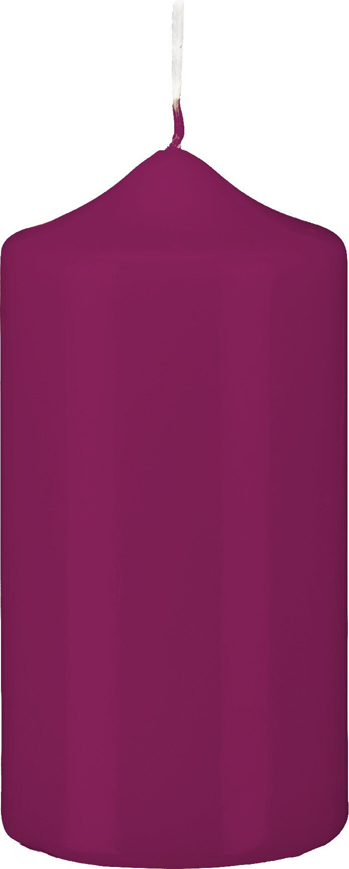 6 Stumpen Kerzen Spitzkopf Brombeere 300 x Ø 100 mm