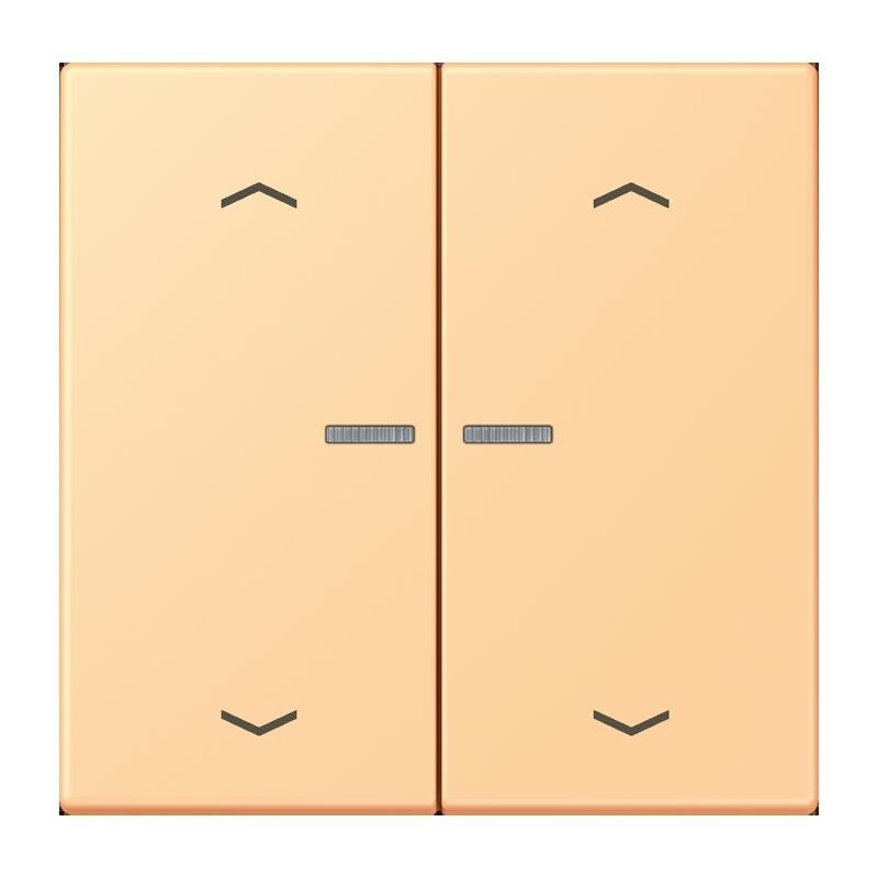 Jung Wippe mit Lichtleiter LC 102 KO5P 258 LC102KO5P258