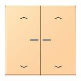 thumbnail of Jung Wippe mit Lichtleiter LC 102 KO5P 258 LC102KO5P258