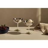 thumbnail of Ensemble de coupes à glace -FRIGIO-, 2 pièces, 180 ml, acier inox poli brillant, compatible lave-vaisselle