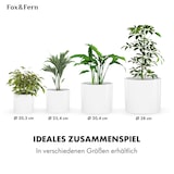 thumbnail of Gendt Pflanztopf Übertopf Faserstein In/OutdoorWeiß, glänzend