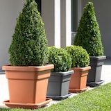 thumbnail of ArtPlast - Quadratischer Blumentopf 38 cm in Farbe Anthrazit - QUADRO MAXI-Kollektion