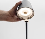 thumbnail of Ai Lati Poldina LED-Lampe mit cortenfarbenem Erdspieß, tragbare, wiederaufladbare Akku-Lampe mit Touch-Steuerung und einstellbarer Dimmfunktion