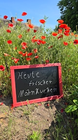 thumbnail of Kreidetafel mit Holzrahmen / Grau 50x100cm