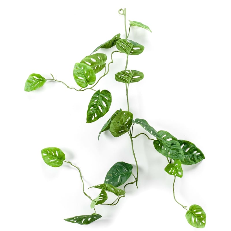 mobile_image