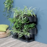 thumbnail of Prosperplast - Cascade Garden verticale kunststof plantenbak in antraciet kleur 68,5x19x54,6 cm