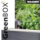 thumbnail of WAGNER GreenFAMILY Hochbeet GreenBOX Light - 70 x 83 x 34,5 cm, Massivholz anthrazit, Regalboden&Pflanztasche - 25024001