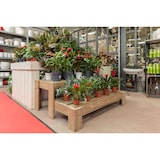 thumbnail of HORTALIA Expositor escalera de Madera PODIUM