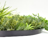 thumbnail of CUADRO VEGETAL ARTIFICIAL Naturing Monde GINEBRA - 100 cm diámetro