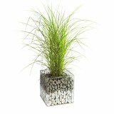 thumbnail of Wilk Gabione Futura M