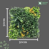 thumbnail of LUANDA | Pared helecho selvático premium 50x50cm | Plantas montadas en pared | Decoración cuadrada selva tropical.