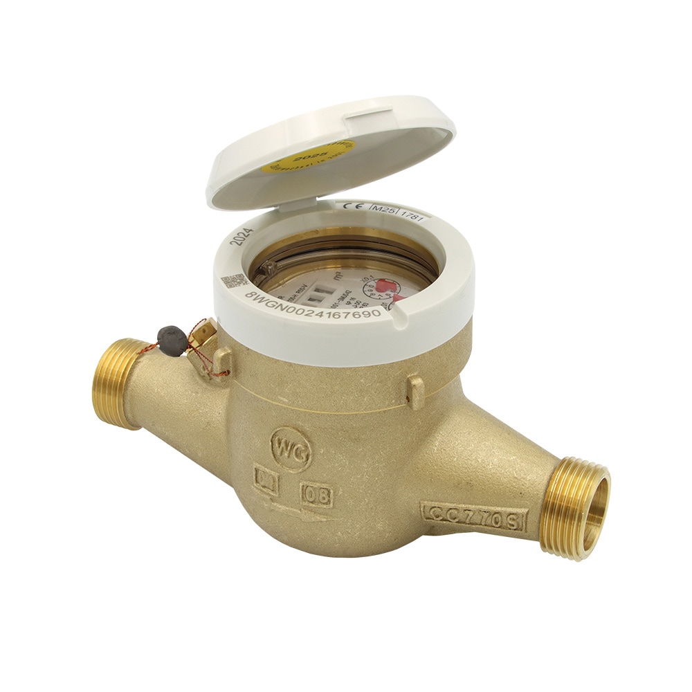 Mehrstrahl Hauswasserzähler 1 Zoll AG 190 mm Kaltwasser Wasseruhr