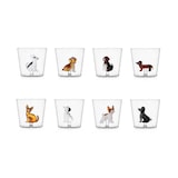 thumbnail of Ichendorf - Ensemble de 8 verres à eau à verre DOGS - Conçu par Alessandra Baldereschi