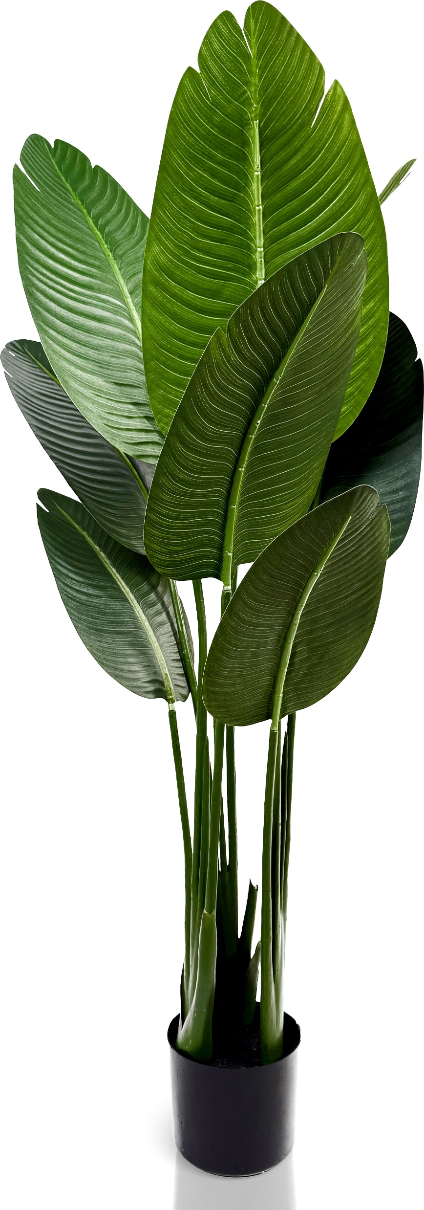 IvoQ Strelitzia Kunstpflanze 120 cm - Paradiesvogelblume im Topf - Lebensechte künstliche Zimmerpflanze für den Innenbereich