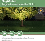 Beleuchtung für stimmungsvolle Atmosphäre im Garten.