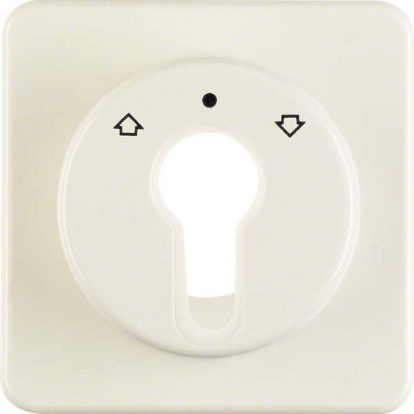 Berker Zentralstück ws 151812