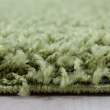 thumbnail of Teppich Hochflor Langflor Uni Kuschelig Waschbar Strapazierfähig Wohnzimmer Schlafzimmer OEKO-TEX Grün 240x340 cm – RHEIN von Kadima Design