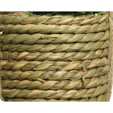 thumbnail of Planta Artificial Colgada Modelos Varios Ø8X12Cm