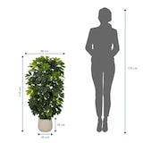 thumbnail of Pianta artificiale / Albero artificiale SCHEFFLERA 2 rami 110 cm plastica verde hjh OFFICE