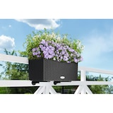 thumbnail of LECHUZA BALCONERA Cottage 50 Outdoor Pflanzgefäß Wand-montiert Polypropylen (PP) Grau
