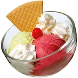 thumbnail of La Rochere - Coupe à dessert Bubble 13 cl x6