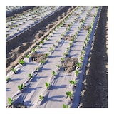 thumbnail of Tecido de cobertura vegetal Papel Kraft 0,9 x 20m Auto-degradável para jardim Controlo de ervas daninhas 100% celulose