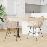 thumbnail of vidaXL Esszimmerstuhl 2 pcs Natur 44 x 44 x 74 cm Rattan und Eisen