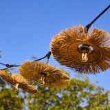 thumbnail of Lumisky Guirlande connectable TAHITI 7 ampoules E27 6M Paille Beige