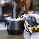 thumbnail of LEOPOLD VIENNA Eisbehälter dopelwandig LV243002