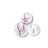 thumbnail of Excelsa vajilla de 18 piezas Faune&flore de cerámica multicolor