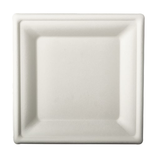 PAPSTAR 100 Teller, Zuckerrohr "pure" eckig 20 cm x 20 cm weiss (89424, 100 Stück)