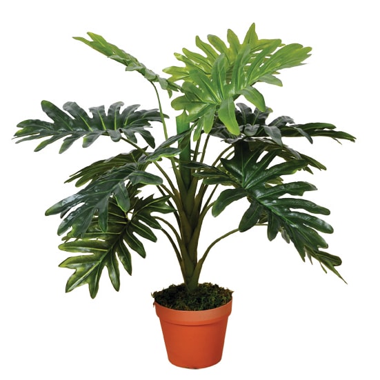 Planta Artificial Filodendro 70 Cm
