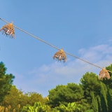 thumbnail of Lumisky MINI HAWAI 10 LED 8M Solar-Lichterkette Seil Braun
