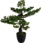 thumbnail of WellHome - Künstlicher Bonsai für drinnen und draußen, 20x20x17,5cm