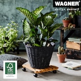 thumbnail of WAGNER Pflanzenroller NATURE 35 x 35 x 8 cm, für Innenbereich, Erle massiv, geölt, Tragkraft 100 kg, EU Ware - 20083501