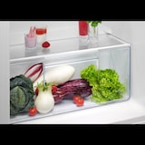 thumbnail of AEG OSD5S141ES 5000 ColdSense / Einbau Doppeltür - Kühlautomat / 1446 mm / 218 L / LowFrost / Schlepptür