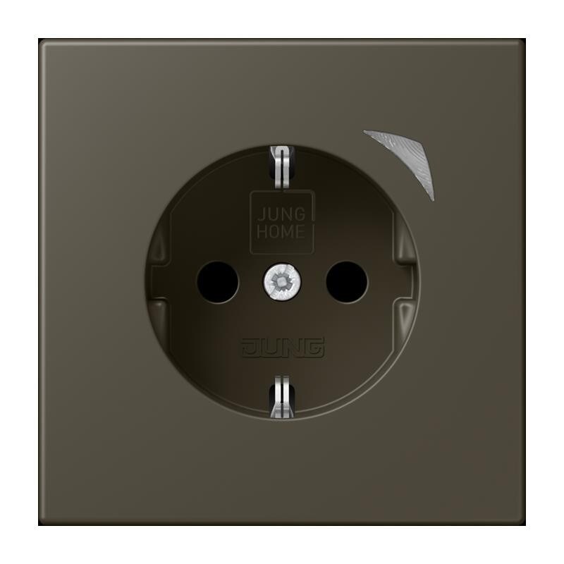 Jung SCHUKO Steckdose BT LC 1521 S 241 BTLC1521S241