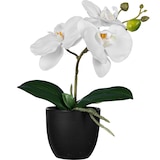 thumbnail of CREATIV green künstliche Pflanze Orchidee, 23cm, pink, im 6er Set