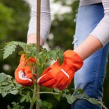 thumbnail of Relaxdays Pflanzstäbe Bambus 40er Set, 120 cm, Rankhilfe für Pflanzen, 10-12 mm Ø, Garten & Deko, Bambusstangen, natur