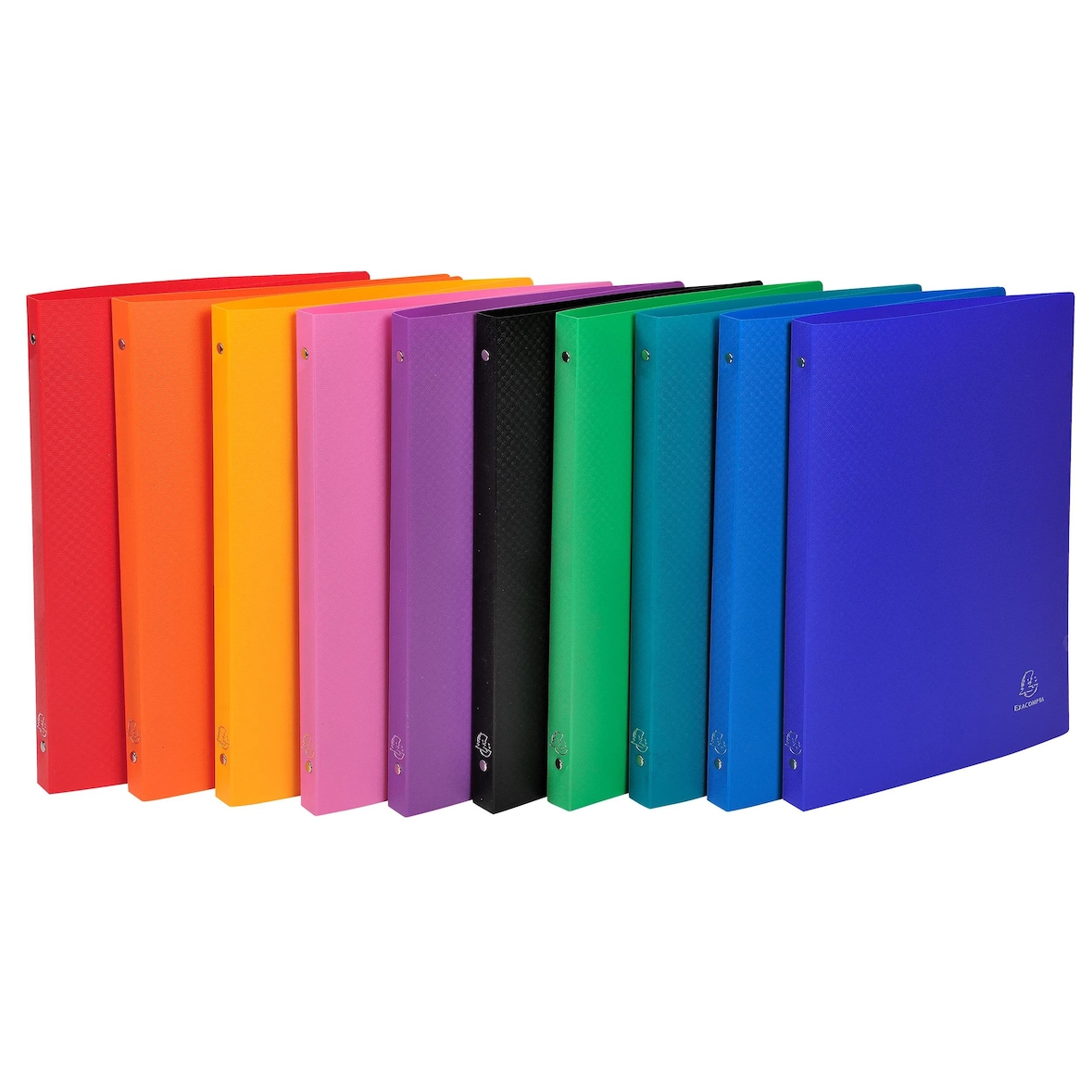 Exacompta 51199E 20x Ringbuch aus PP 500µ mit 4 Ringen 15mm, Rücken 20mm, blickdicht, für Format DIN A4 - Farben sortiert