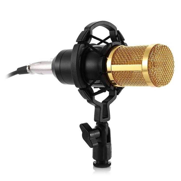 Microphone De Studio Pro Avec Accessoires Pour Enregistrement Et Diffusion Noir YONIS