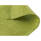 thumbnail of APS Placemat 45 x 33 cm