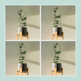 thumbnail of Relaxdays Rankhilfe 8tlg. Set, Kletterhilfe Metall, geometrische Formen, Topf- & Zimmerpflanzen, Pflanzenstütze, schwarz