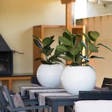 thumbnail of WellHome - Blumentopf Modell "Omega Collection", Ø48x42cm, Farbe Anthrazit